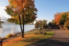 Fall-foliage-from-cottage-F
