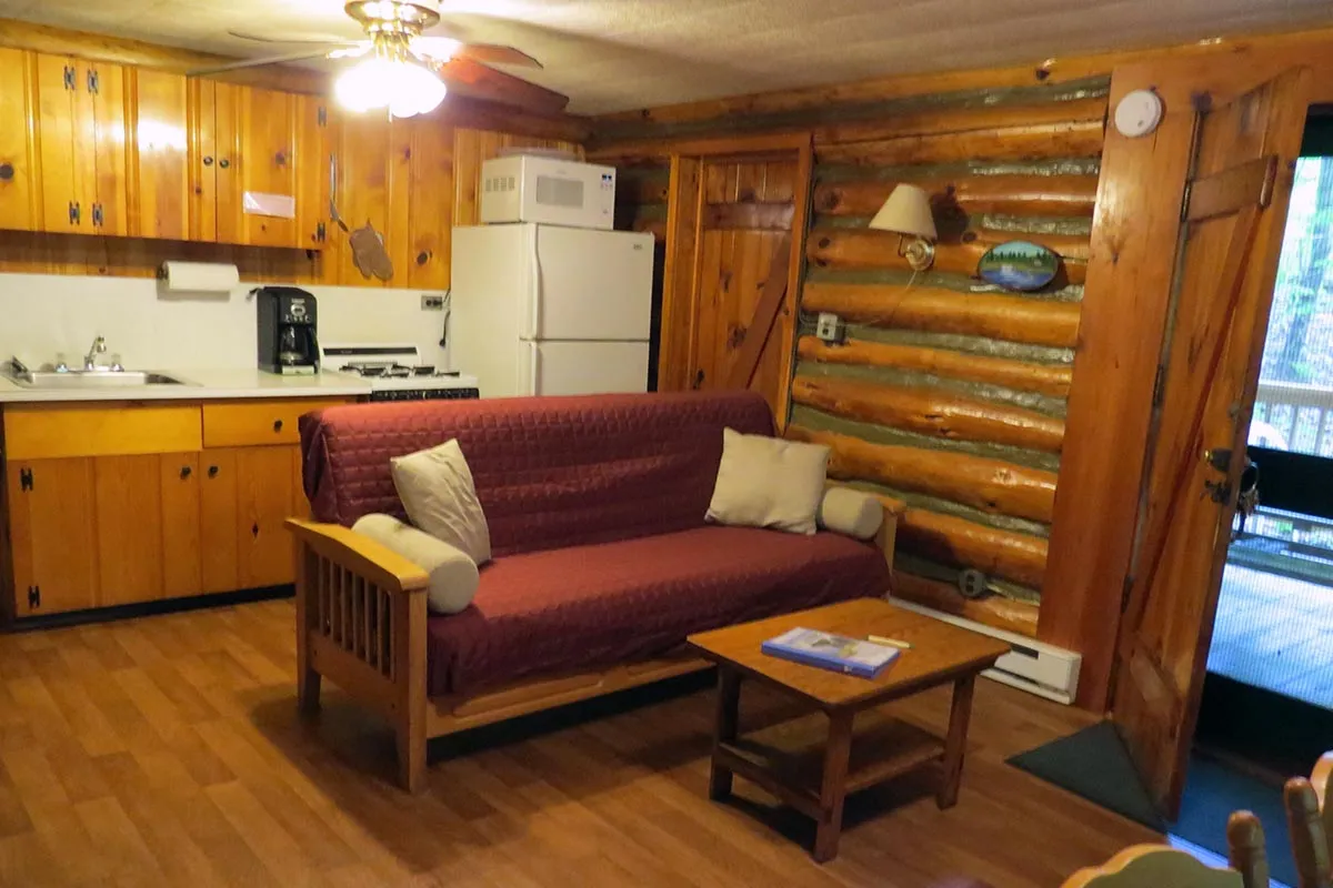 Hillside Log Cabin #6 Living Room & Kitchen.