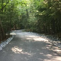 Walk in the Woods